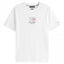 Mens Ithaca Stripe Flag T-Shirt