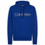Mens Cotton Logo Hooded Sweatshirt