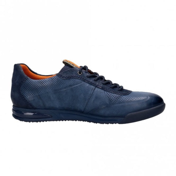 Trevor Trainer