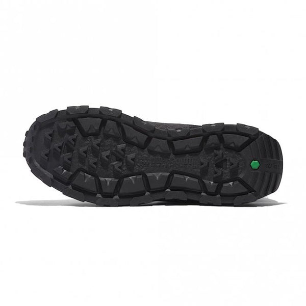 Mens Winsor Trail Lace-Up Low Trainer