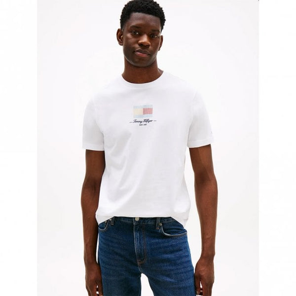 Mens Ithaca Stripe Flag T-Shirt